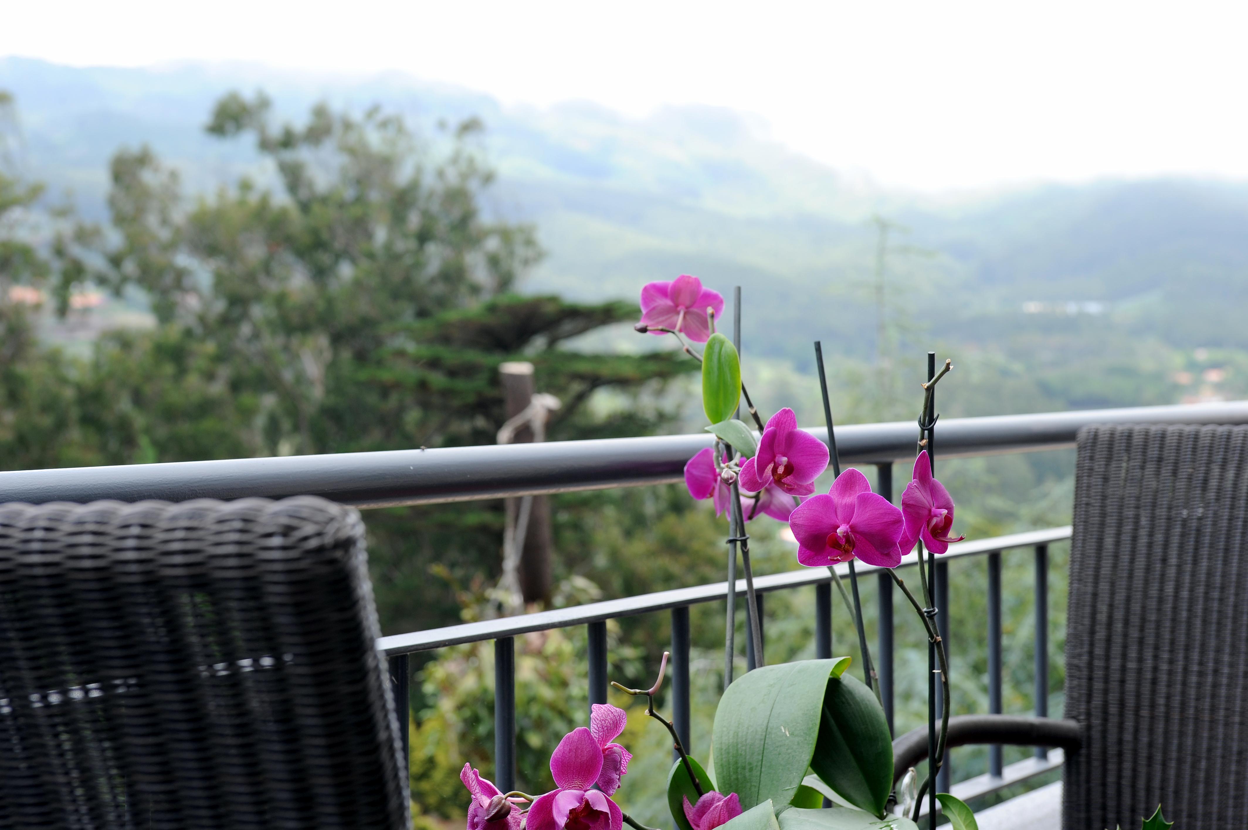 Quinta Da Cova Do Milho Hotel Santo Antonio da Serra Екстериор снимка